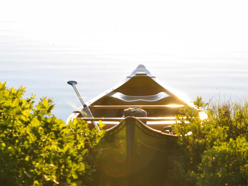 android screenshot 4